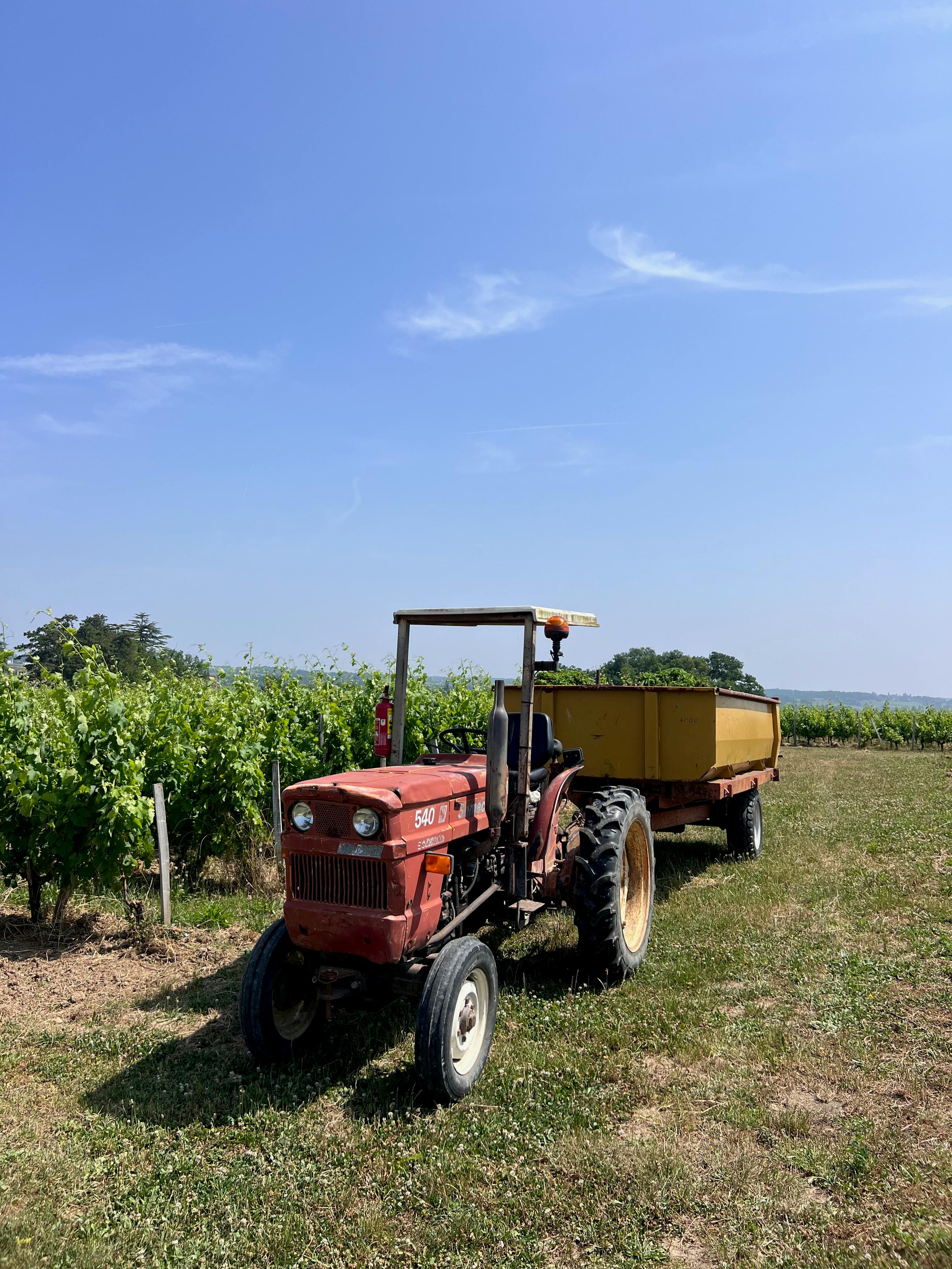 🌱 Innovación sostenible en Villa Esperanza: El biodigestor que cambió la vida del pueblo